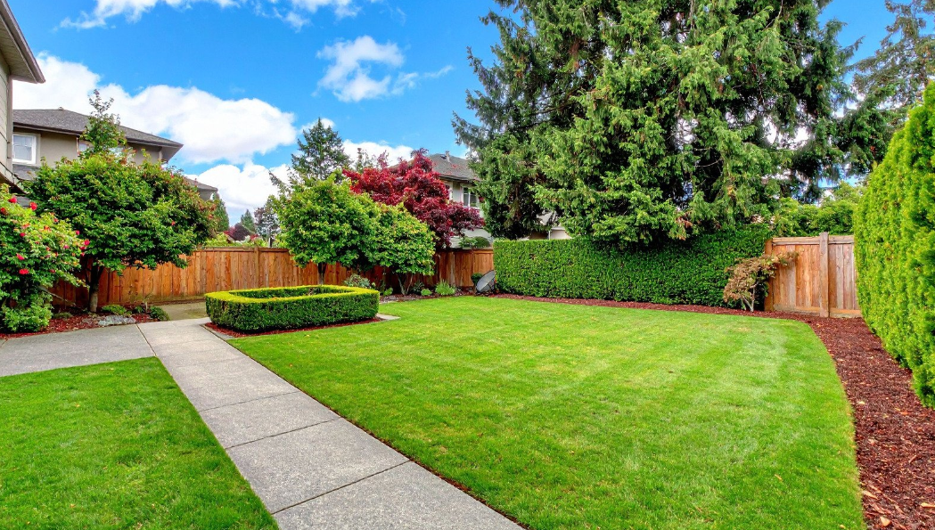 How to Plan Your Backyard Landscape Design