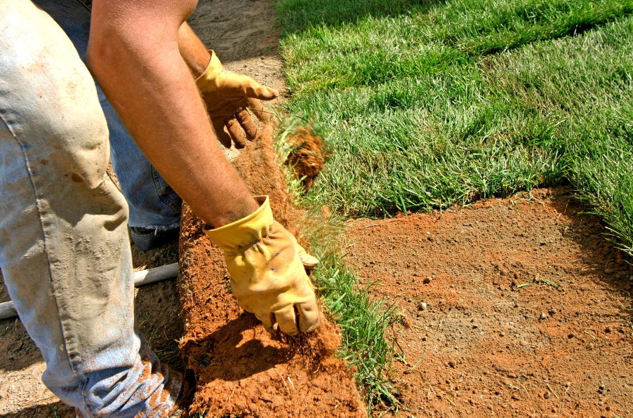 Landscaping Construction